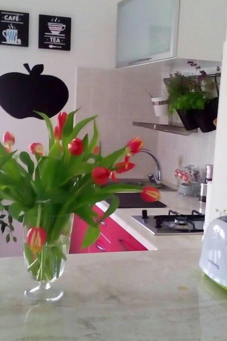Alghero Siesta Vacanza Relax & Breakfast Zewnętrze zdjęcie